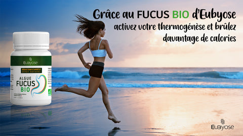 ALGUES FUCUS BIO - Brûle graisse naturel