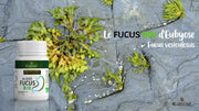 ALGUES FUCUS BIO - Brûle graisse naturel