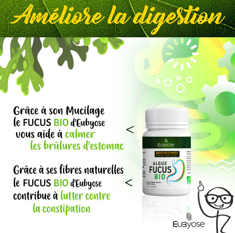 ALGUES FUCUS BIO - Brûle graisse naturel