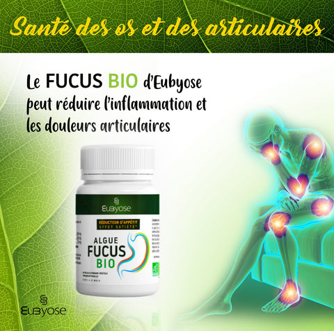 ALGUES FUCUS BIO - Brûle graisse naturel