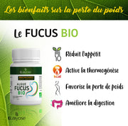 ALGUES FUCUS BIO - Brûle graisse naturel