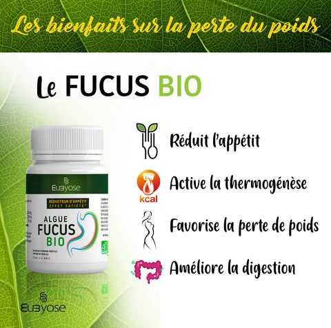 ALGUES FUCUS BIO - Brûle graisse naturel