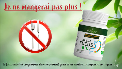 ALGUES FUCUS BIO - Brûle graisse naturel