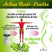 ALGUES FUCUS BIO - Brûle graisse naturel